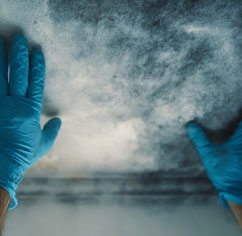 mold removal from air ducts in chicago.jpg